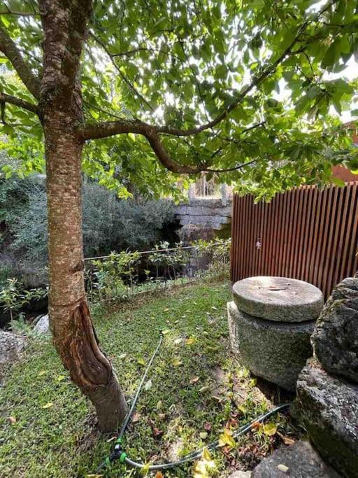 Casa Da Tintim Em Baiaoヴィラ エクステリア 写真